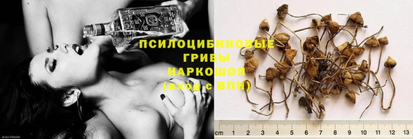 ПСИЛОЦИБИНОВЫЕ ГРИБЫ Абинск