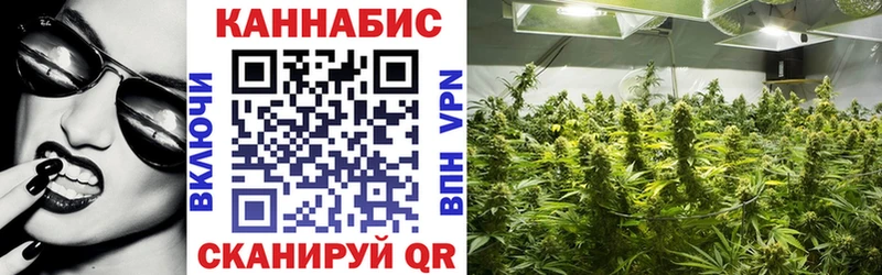 Бошки марихуана планчик  Электрогорск 